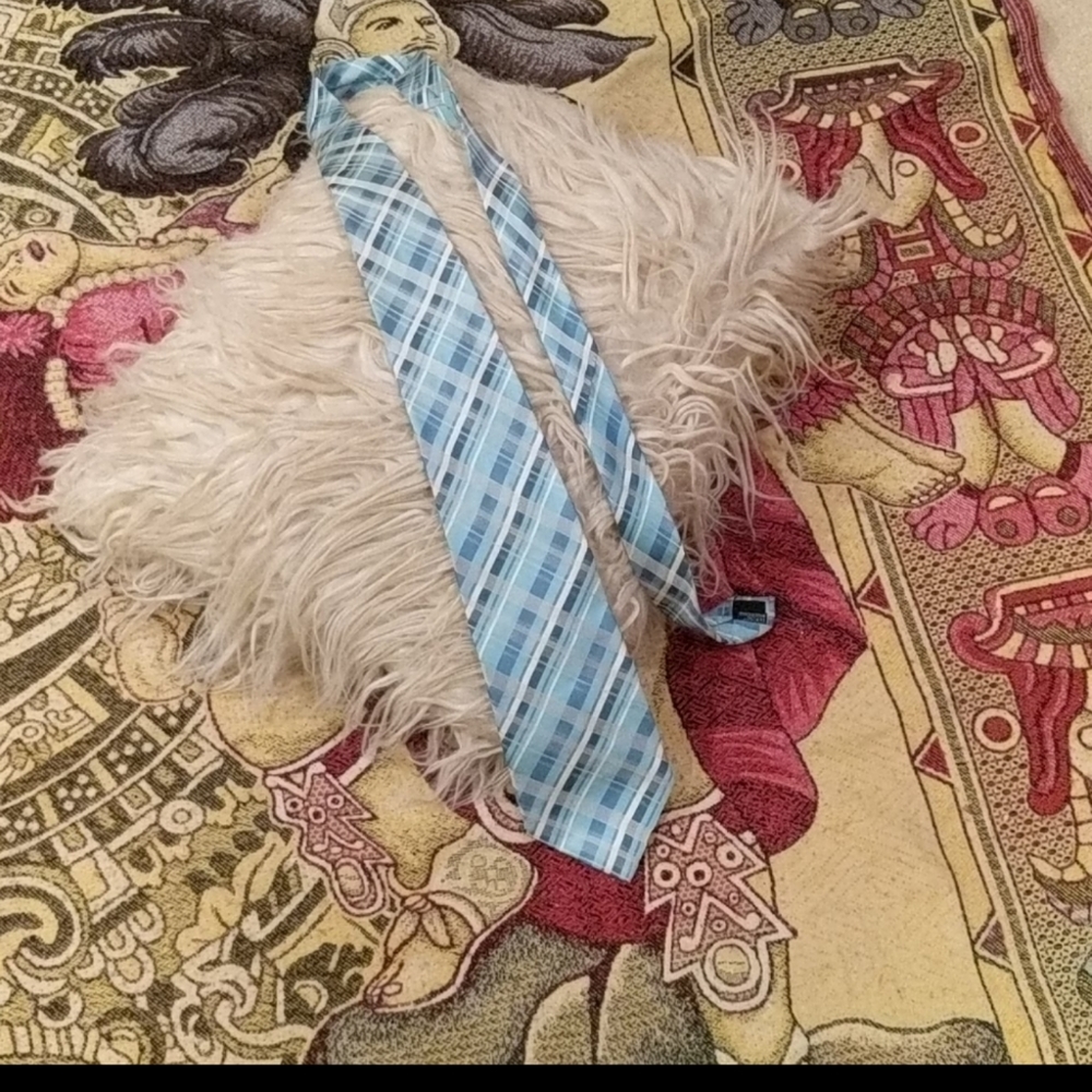 Men's Tie